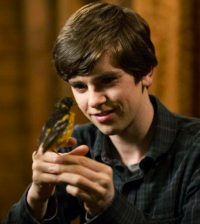 Freddie Highmore as Norman Bates. Image © A&E