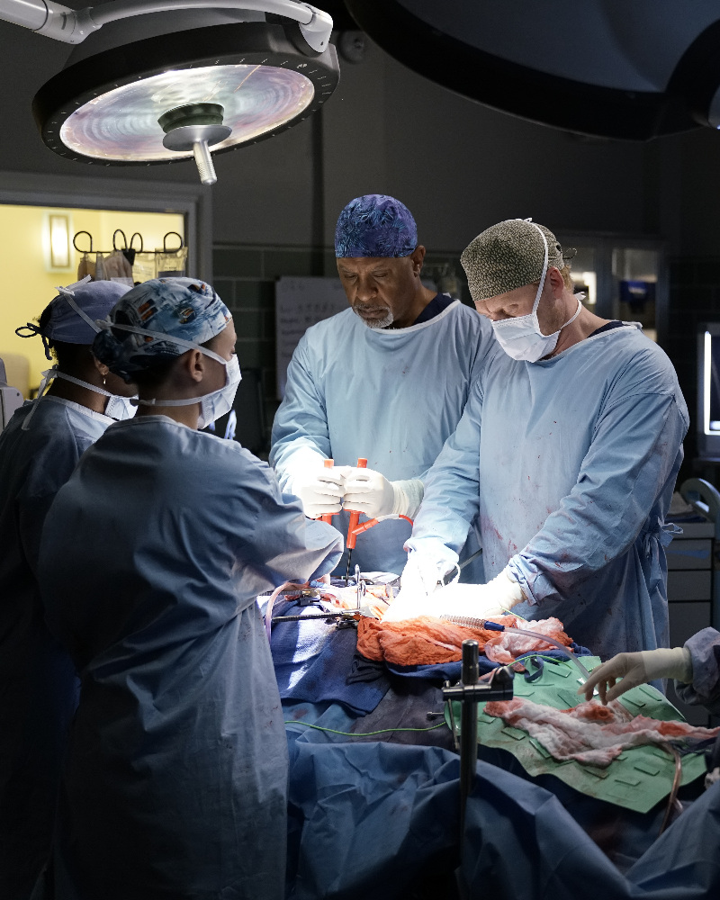 GREY'S ANATOMY 13x08 "The Room Where It Happens" Photos