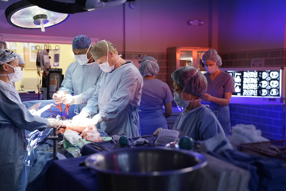 GREY'S ANATOMY 13x08 "The Room Where It Happens" Photos